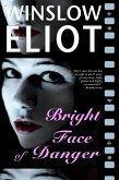 Bright Face of Danger (eBook, ePUB)