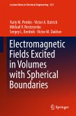 Electromagnetic Fields Excited in Volumes with Spherical Boundaries (eBook, PDF)