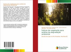 Índices de vegetação para análise da degradação ambiental