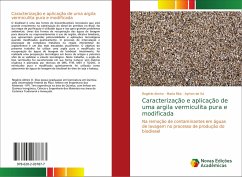 Caracterização e aplicação de uma argila vermiculita pura e modificada