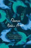 Flames (eBook, ePUB)