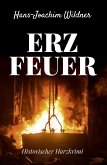 Erzfeuer (eBook, ePUB)