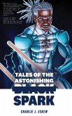 Tales of the Astonishing Black Spark (eBook, ePUB)