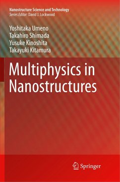 Multiphysics in Nanostructures - Umeno, Yoshitaka;Shimada, Takahiro;Kinoshita, Yusuke