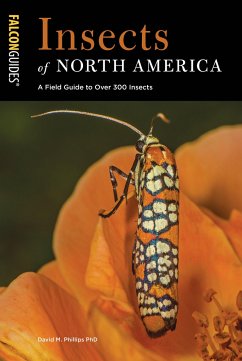 Insects of North America: A Field Guide to Over 300 Insects - Phillips, David M.