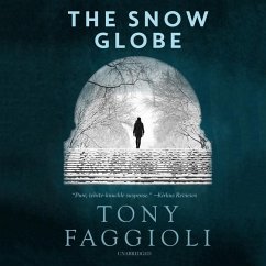 Cover The Snow Globe