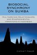 Biosocial Synchrony on Sumba - Bild 1