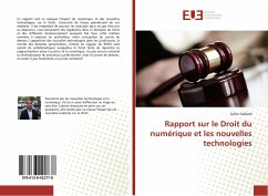 Rapport sur le Droit du numérique et les nouvelles technologies - Gaillard, Sacha