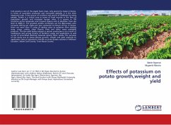 Effects of potassium on potato growth,weight and yield