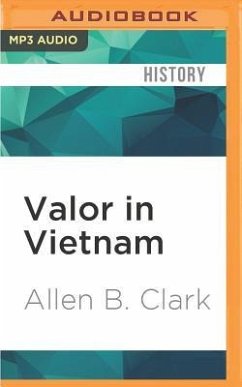 Valor in Vietnam - Clark, Allen B