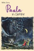 Paula in Gefahr (eBook, ePUB)