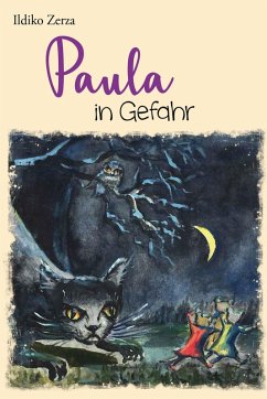 Cover Paula in Gefahr (eBook, ePUB)