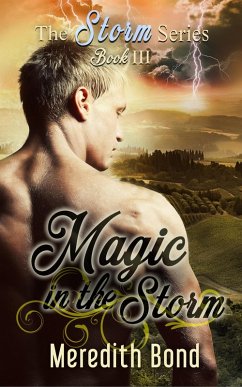 Magic In the Storm (eBook, ePUB) - Bond, Meredith