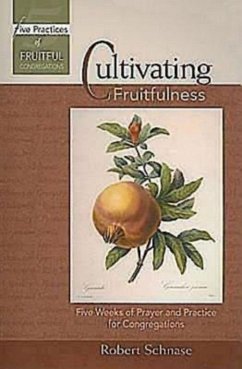 Cultivating Fruitfulness (eBook, ePUB) - Schnase, Robert