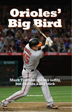Orioles' Big Bird (eBook, ePUB) - Schmuck, Peter