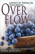 Overflow (eBook, ePUB) - Bild 1