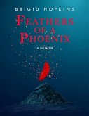 Feathers of a Phoenix (eBook, ePUB)
