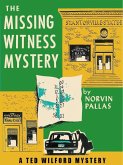 The Missing Witness Mystery (eBook, ePUB)
