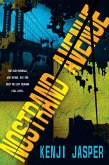 Nostrand Avenue (eBook, ePUB)