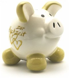 Cover Swiggie- Sparschwein 