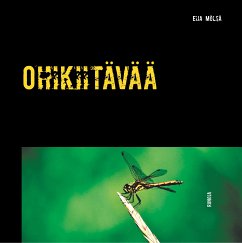 Ohikiitävää (eBook, ePUB)