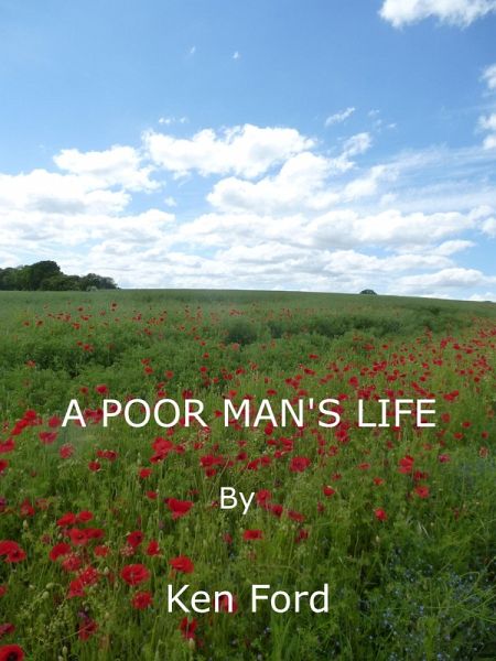A Poor Man's Life (eBook, ePUB)