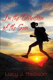 In the Direction of the Sun (eBook, ePUB)
