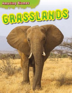 Grasslands (eBook, PDF) - Gray, Leon