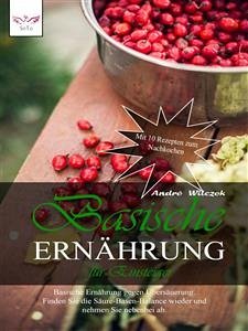 Basische Ernährung für Einsteiger (eBook, ePUB) - Wilczek, André