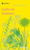 Liebe im Sommer (eBook, ePUB)