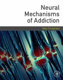 Neural Mechanisms of Addiction (eBook, ePUB)