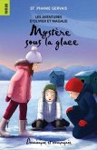 Mystere sous la glace (eBook, PDF)