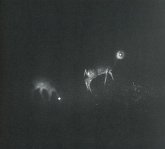 Bliss Signal Bliss Signal