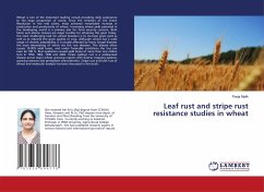 Leaf rust and stripe rust resistance studies in wheat - Malik, Pooja