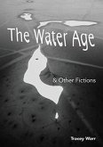 The Water Age & Other Fictions (eBook, ePUB)