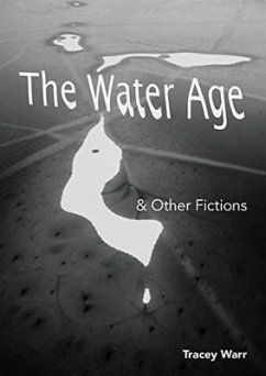 The Water Age & Other Fictions (eBook, ePUB) - Warr, Tracey