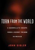 Torn from the World (eBook, ePUB)