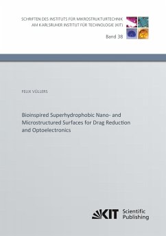 Bioinspired Superhydrophobic Nano- and Microstructured Surfaces for Drag Reduction and Optoelectronics