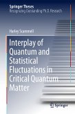 Interplay of Quantum and Statistical Fluctuations in Critical Quantum Matter (eBook, PDF)