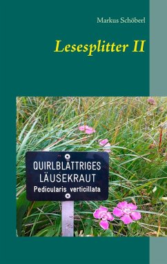 Lesesplitter II (eBook, ePUB) - Schöberl, Markus