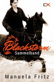 Blackstorm - Sammelband (eBook, ePUB)