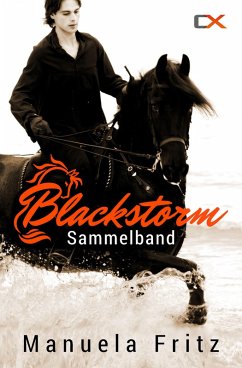 Blackstorm - Sammelband (eBook, ePUB) - Fritz, Manuela