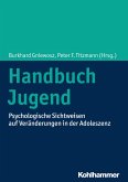 Handbuch Jugend (eBook, ePUB)