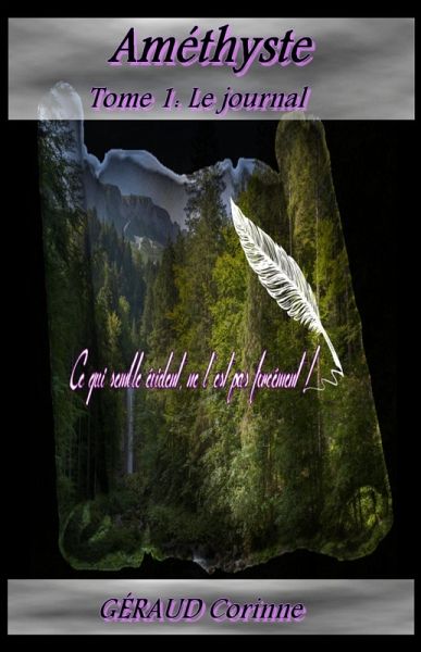 Amethyste (eBook, ePUB)