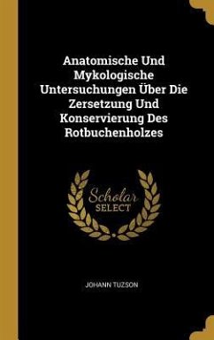 Anatomische Und Mykologische Untersuchungen Über Die Zersetzung Und Konservierung Des Rotbuchenholzes