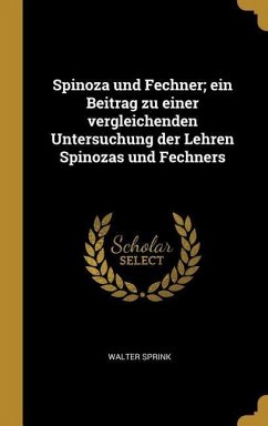 Spinoza Und Fechner; Ein Beitrag Zu Einer Vergleichenden Untersuchung Der Lehren Spinozas Und Fechners - Sprink, Walter