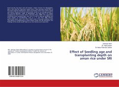 Effect of Seedling age and transplanting depth on aman rice under SRI