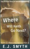 Where Will Keith Go Next? (Keith is Awesome, #2) (eBook, ePUB)