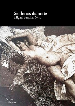 Senhoras da noite (eBook, ePUB) - Sanches Neto, Miguel