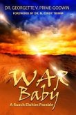 WAR Baby (eBook, ePUB)